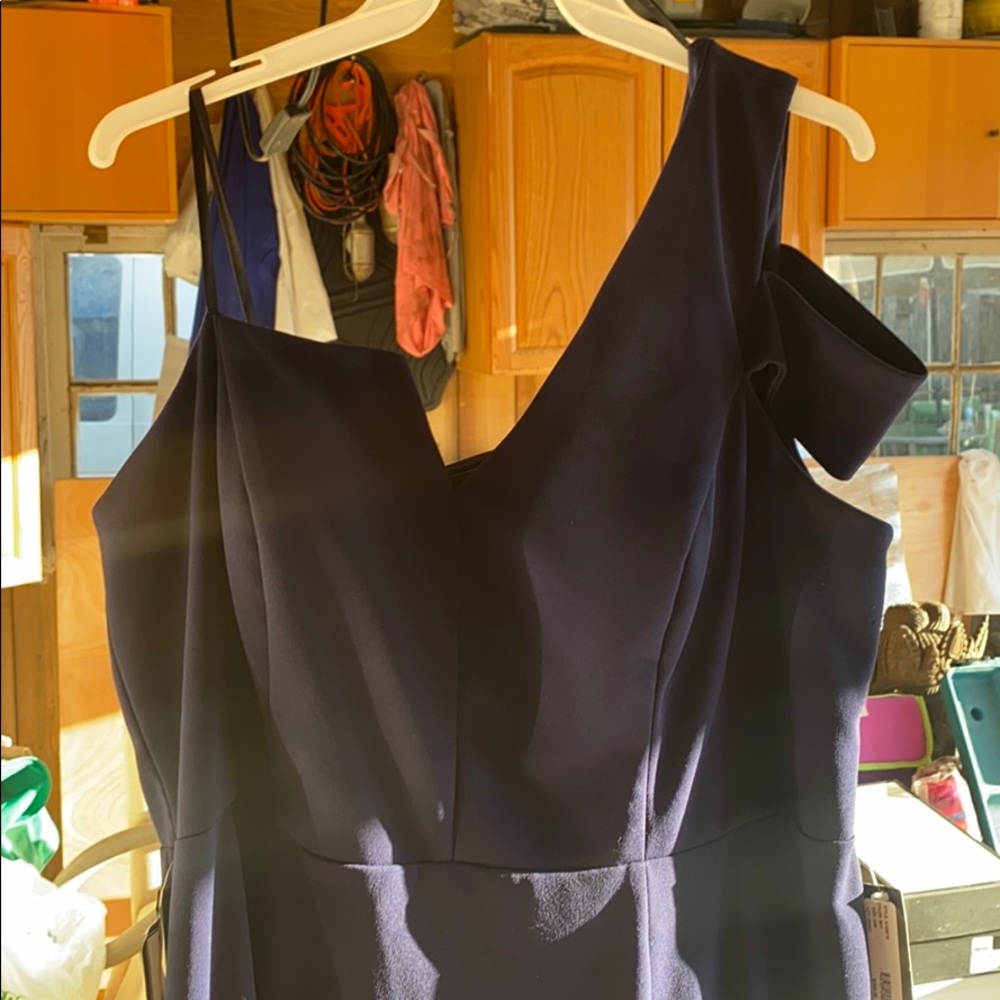 Plus size Betsy and Adams Dress